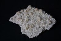 方解石藏品圖，第5張