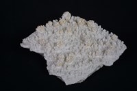 方解石藏品圖，第6張