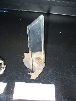 透石膏藏品圖，第4張