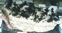 綠簾石藏品圖，第8張