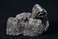 錫石藏品圖，第4張