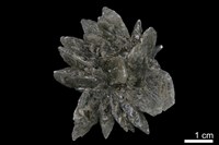 石膏藏品圖，第2張