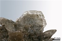 石膏藏品圖，第4張