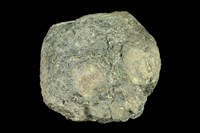 玻璃質玄武岩藏品圖，第1張