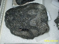 玻璃質玄武岩藏品圖，第2張