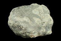 玻璃質玄武岩藏品圖，第1張