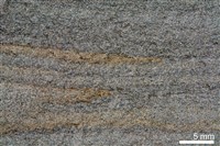 砂岩藏品圖，第4張