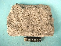 角閃安山岩藏品圖，第4張