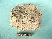 角閃石-紫蘇輝石安山岩藏品圖，第4張