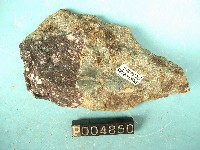安山岩質角礫岩 藏品圖，第2張