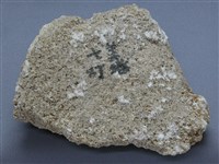 殼灰岩藏品圖，第1張