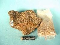 鐵質石英砂岩藏品圖，第3張