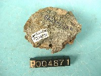 石英斑岩藏品圖，第4張