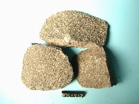 矽質玄武岩藏品圖，第4張