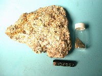 偉晶岩藏品圖，第4張