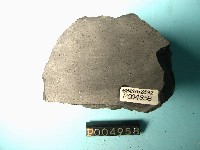 鹼性玄武岩藏品圖，第3張