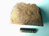 微輝長岩藏品圖，第3張