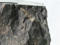 鹼性玄武岩藏品圖，第3張