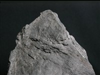 片岩藏品圖，第3張