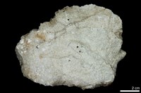 糜嶺岩藏品圖，第1張