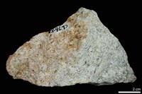 糜嶺岩藏品圖，第1張