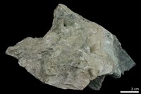 透閃石片岩藏品圖，第1張