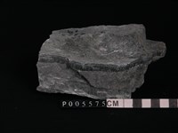 透閃石片岩藏品圖，第1張