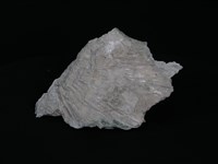 透閃石片岩藏品圖，第1張