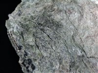 透閃石片岩藏品圖，第2張