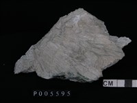 透閃石片岩藏品圖，第3張