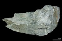 透閃石片岩藏品圖，第1張