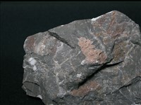 大理岩藏品圖，第3張