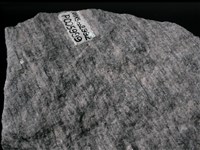 片麻岩/混合岩藏品圖，第2張