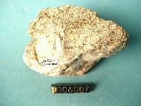 偉晶岩藏品圖，第3張