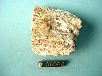 偉晶岩藏品圖，第3張