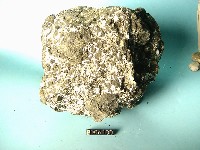 火山角礫岩藏品圖，第2張