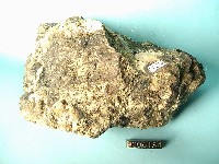 火山角礫岩藏品圖，第2張