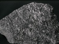 角閃石-黑雲母片麻岩藏品圖，第2張