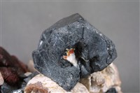 鋅鐵尖晶石/紅鋅礦/矽鋅礦藏品圖，第2張
