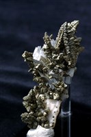 白鐵礦/透石膏藏品圖，第6張