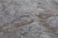 錳鎂閃石/透閃石/直閃石藏品圖，第2張