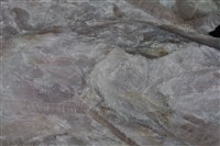 錳鎂閃石/透閃石/直閃石藏品圖，第5張