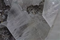 透石膏藏品圖，第3張
