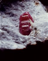 紅寶石藏品圖，第3張