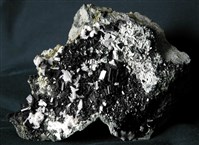 Augite Collection Image, Figure 3, Total 4 Figures