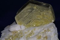 白雲母藏品圖，第7張