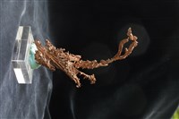 自然銅藏品圖，第2張
