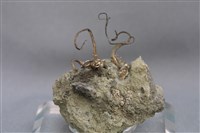 自然銀藏品圖，第4張