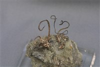 自然銀藏品圖，第6張