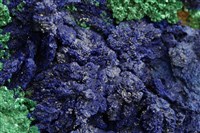 藍銅礦/孔雀石藏品圖，第11張